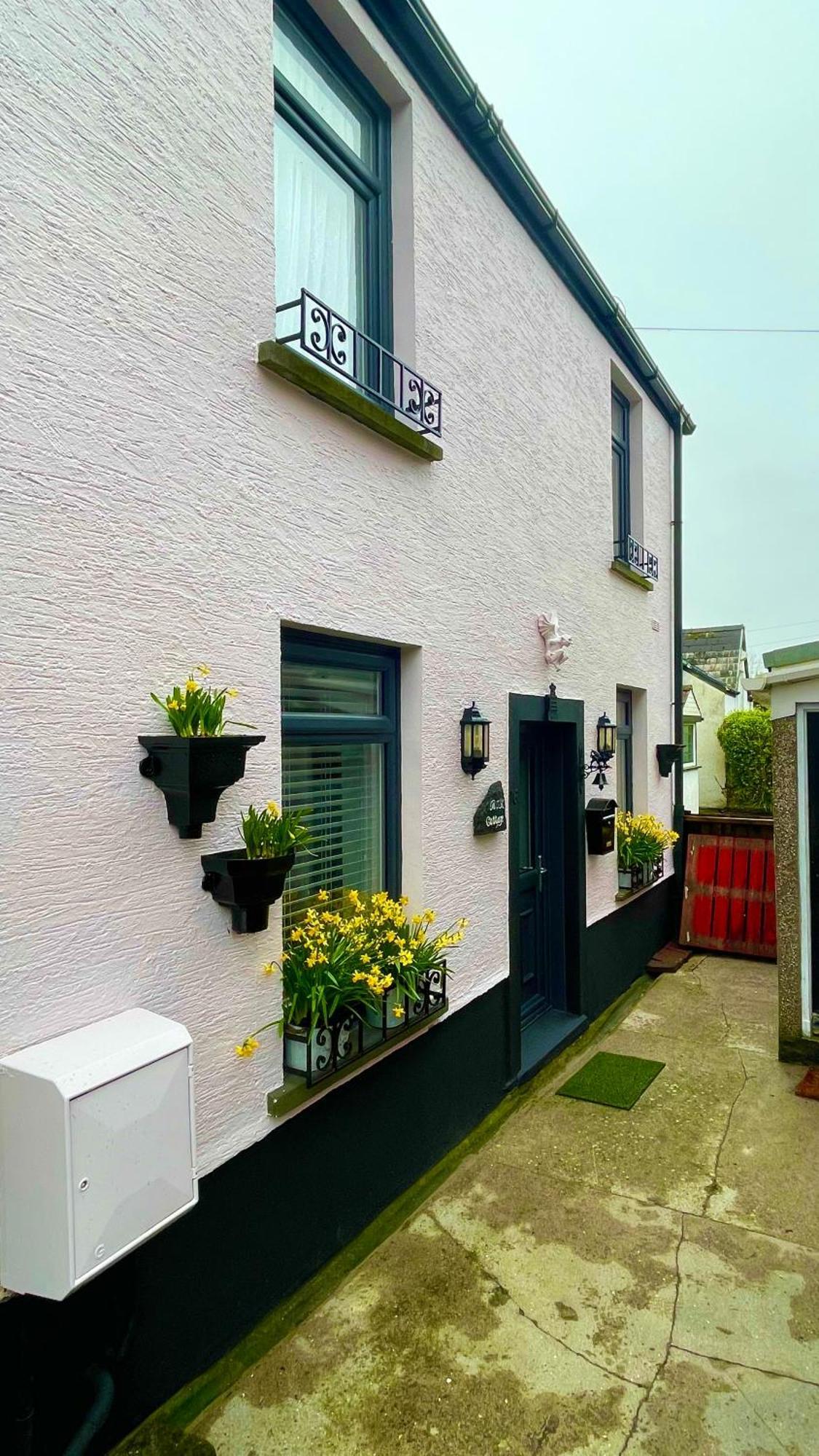 Beautiful Mumbles/Gower Cottage Swansea Zewnętrze zdjęcie